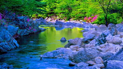 추억의지리산  75