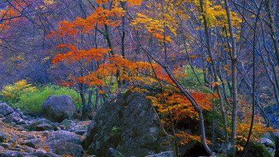 추억의지리산  42