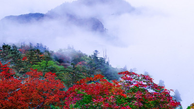 추억의지리산 124  박환윤