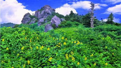 추억의 지리산  94