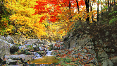 추억의지리산   59