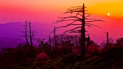 추억의지리산  78