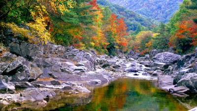 추억의지리산 126  박환윤