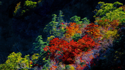 추억읟지리산  48