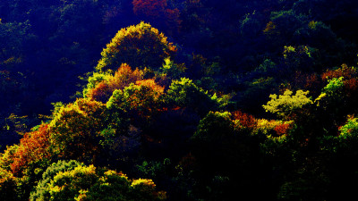 추억의지리산 128  박환윤