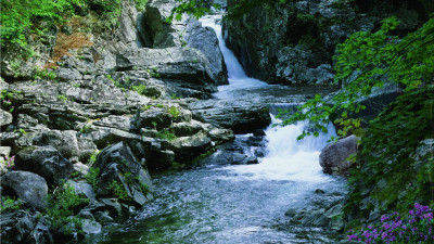 추억의 지리산   82