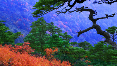 추억의지리산  61