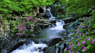 추억의 지리산   52