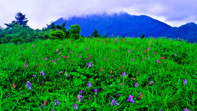 추억의지리산  86