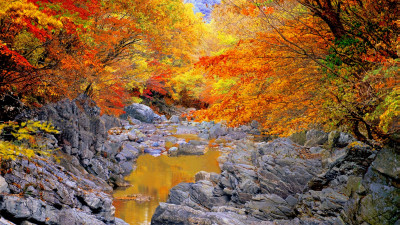 추억의지리산  118   박환윤