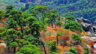추억의지리산    137    박환윤