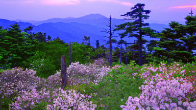 추억의지리산 74