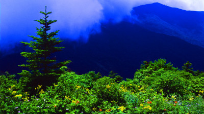 추억의지리산  88