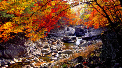 추억의지리산   68