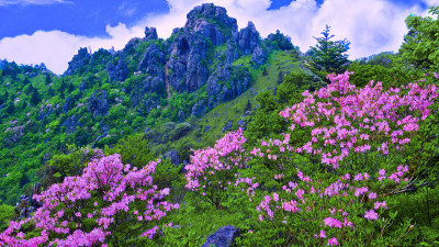 추억의지리산   77