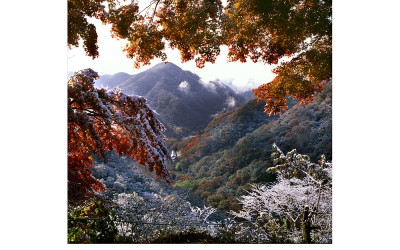 백암산 초설(백암산)