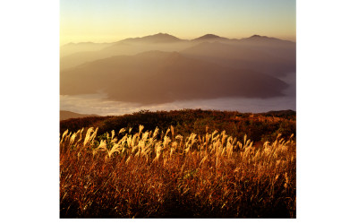 지리산의 가을