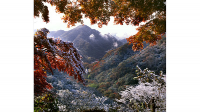 백암산 초설(백암산)