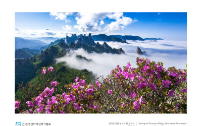 설악산 공룡 능선의 봄 (설악산)