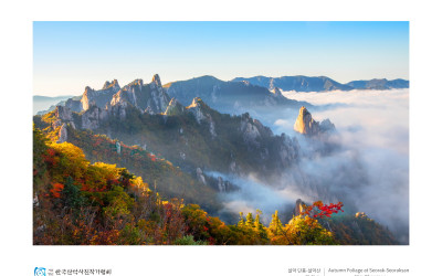 설악 단풍 (설악산)