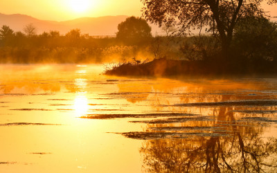 물안개 피는 아침