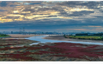 갯벌을 벗 삼아