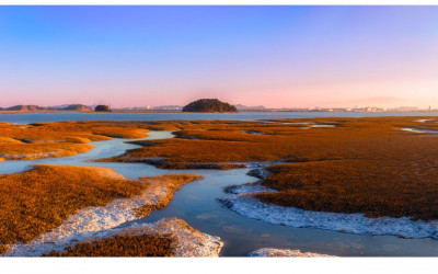 한파가 만든 풍경