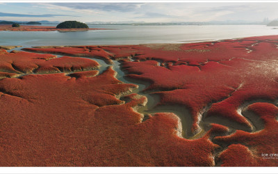 우리나라 갯골 중