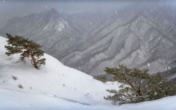 눈내리는 울산바위 풍경 - 설악산