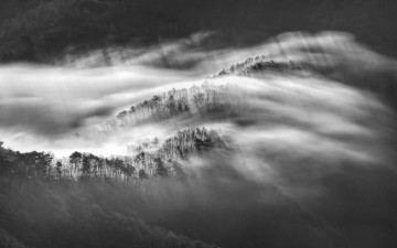 나무들을 스치는 운해 - 대둔산