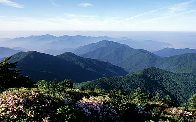 반야의 봄(지리산)