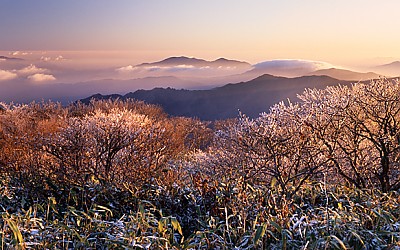 덕유의 미소(덕유산)