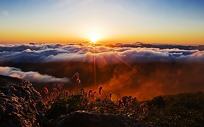 어머니의 山 덕유(덕유산)