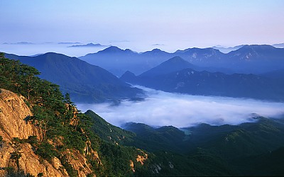 속리산 암봉과 용화골 운해(속리산)