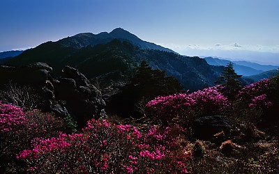 연하봉의 봄(지리산)