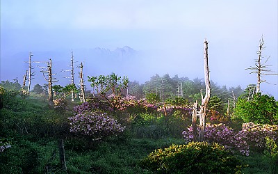 제석봉의 봄(지리산)