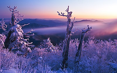 덕유설경(덕유산)