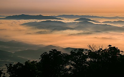 영남알프스의 여름(신불산)