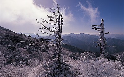 덕유산 상고대(덕유산)