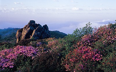 국망봉의 봄(소백산)