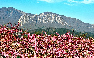 울산암(설악산)