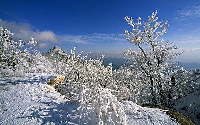 지리산의 겨울(지리산)