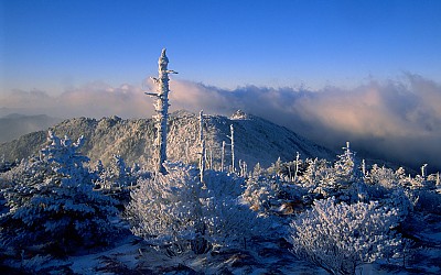 팔공산 동봉(팔공산)