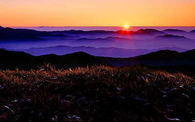 산죽의 빛(덕유산)