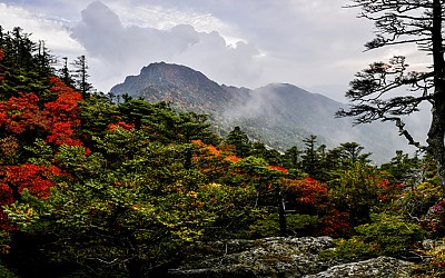 지리산 秋景 - 지리산