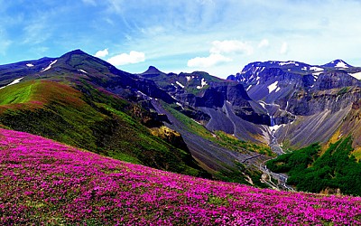 폭포가 보이는 풍경 - 백두산