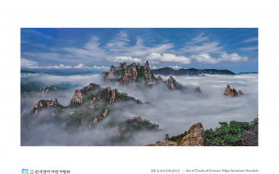 공룡 능선의 운해