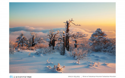 태백산의 겨울