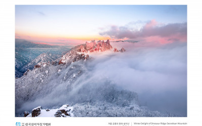 겨울 공룡의 환희