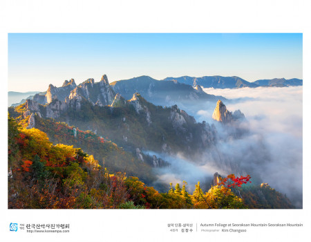 설악 단풍